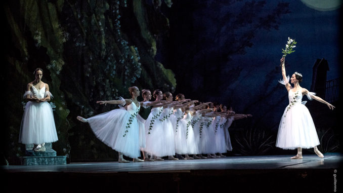giselle