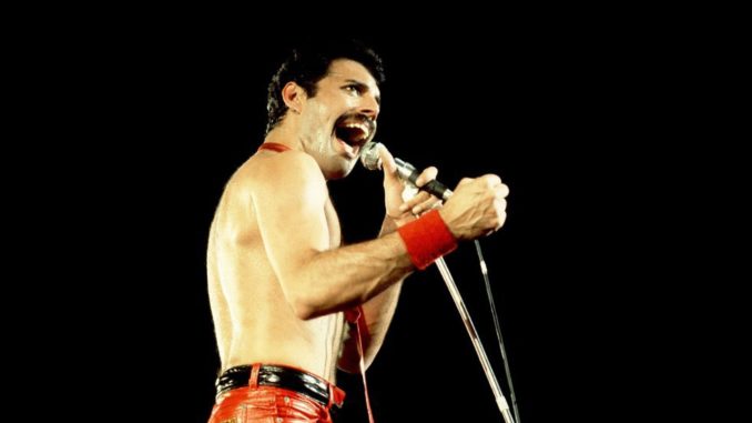 freddie
