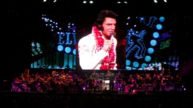 Elvis