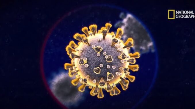 Coronavirus-Nat Geo